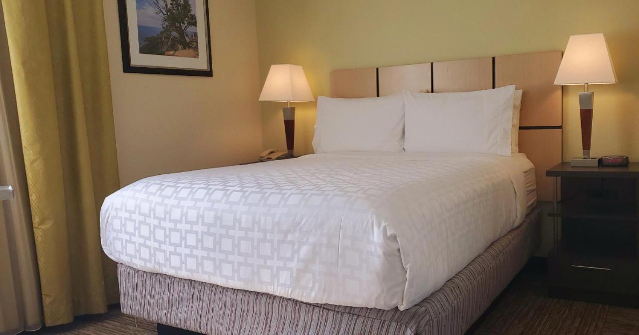 Candlewood Suites Houston Medical Center By Ihg Екстер'єр фото